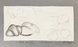 Bela Zoltan, Self Study, 2000, creion pe hârtie