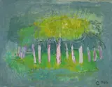 Alexandru Ciucurencu, Colț verde