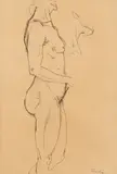 Nicolae Tonitza, Nud, 1925-1928, peniță pe hârtie