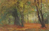 Arthur Verona, Luminiș