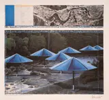 Christo, The Umbrellas, Project USA