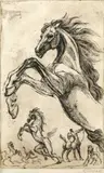 Marcel Chirnoagă, Cavalcadă, acvaforte și gravură cu acul