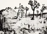 Marius Bercea, Wind Sonnet, 2014, litografie
