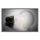 Mircea Cantor, Which Light Kills You, 2005-2008, lightbox