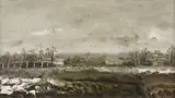 Sorin Ilfoveanu, Câmpul