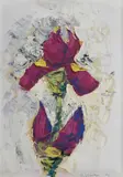 Mihai Sârbulescu, Iris