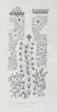Ștefan Câlția, Plante I, 2020, litografie