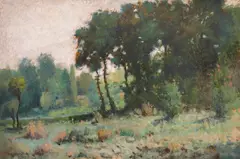 Trapko Vasilev, Stillness in the middle of the forest, 1956, oil on cardboard