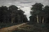 Ion Andreescu, Pădure la Barbizon, cca. 1880, ulei pe pânză
