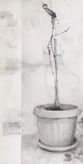 Dan Beudean, Life, creion pe hârtie lipită pe lemn
