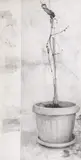 Dan Beudean, Life, creion pe hârtie lipită pe lemn