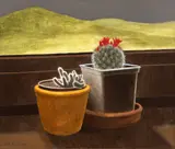 Mihai Mureșan, Cactus