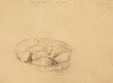 Sorin Ilfoveanu, Tavă de aramă cu pere, 1989, creion pe hârtie