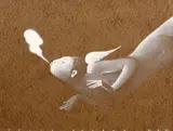 Felix Aftene, Zbor, 2023, cromolitografie