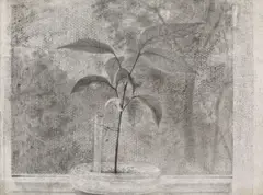 Dan Beudean, Still Life from My Window, creion pe hârtie lipită pe lemn