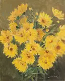 Dimitrie Știubei, Crizanteme