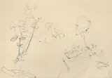 Lectură by Alexandru Ciucurencu, pix pe hârtie, sold Feb 2024