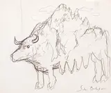 Sabin Bălașa, Animal mitic, creion pe hârtie