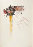 Geta Brătescu, Canzone