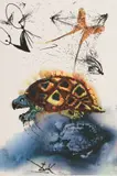 Povestea țestoasei by Salvador Dalí, cromolitografie, sold Jan 2024