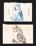 Sam Mitchell, Budgies