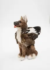 Emily Valentine Bullock, Indian Shepherd, feathers and mixed media