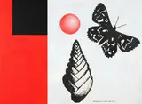 Richard Killeen, Destruction of the circle
