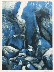 Stanley Palmer, Creek - Punga and Cloud, etching, 46/50