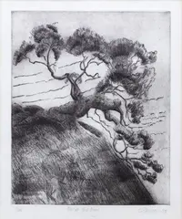 Elizabeth Steiner, Above the bay, etching, 3/30