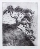 Elizabeth Steiner, Above the bay, etching, 3/30