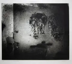 Elizabeth Thomson, marlin and beetles, etching and aquatint, A.P