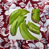 Neal Palmer, Plantain, oil on board