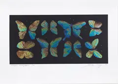 Sally Tagg, Morpho Macropiper, colour print, 9/10