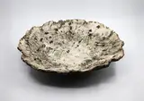 Len Castle, Rare sinter dish, earthenware with lichen-like texture, 1998