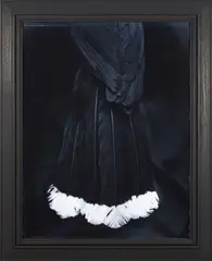Fiona Pardington, Ake Ake Huia, mural-scale gelatin silver print, 3/3