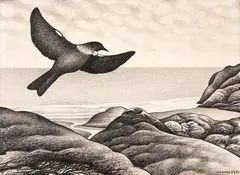 Don Binney, Tui over Te Henga, charcoal on paper