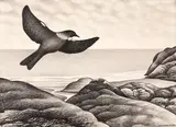 Don Binney, Tui over Te Henga