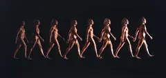 Walking I by Shigeyuki Kihara, type C print mounted to aluminium, 1/11 (2015), sold Aug 2026