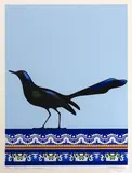 Don Binney, Grackle, Veracruz