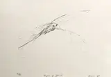 Tony Fomison, Angel of Death, lithograph, 10/12