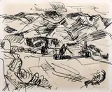 Toss Woollaston, The Hills, Upper Moutere
