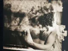 Fiona Pardington, Untitled, gelatin silver print