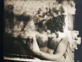 Fiona Pardington, Untitled, gelatin silver print