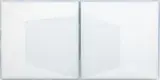 Karyn Taylor, Untitled, cast acrylic, diptych