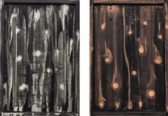 Luise Fong, Untitled, acrylic on board, two panels