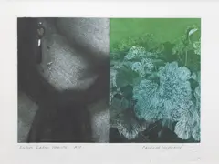 Carole Shepheard, Eirly's Ladies' Mantle, Etching, a/p