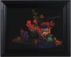 Fiona Pardington, Still Life with Nasturtium, pigment inks on Hahnemuhle photo rag paper, 6/10