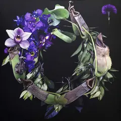 Richard Orjis, Wreath, type C print