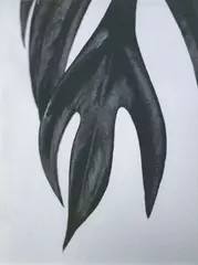 Peter Peryer, Elegans, type C print, 6/10