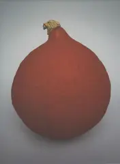 Peter Peryer, Pumpkin, digital print, 2010, edition of 15